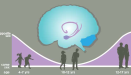 Amygdala encodes ‘cooties’ and ‘crushes’ in the developing brain