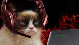 Should developers exclude voice chat because of the online disinhibition effect?