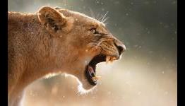 10 of the Most Badass Animals in Video Games