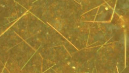 Solution-grown nanowires make the best lasers