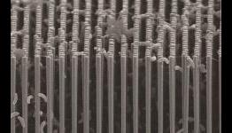 Photosynthesis no longer limited to plants thanks to new advances in nanotechnology