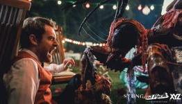 Stung Review – Scream: The Horror Magazine