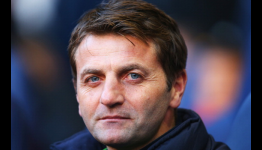 Tim Sherwood: Aston Villa are FA Cup final underdogs