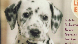 Nintendogs Turns 10, or 70 in Dog Years