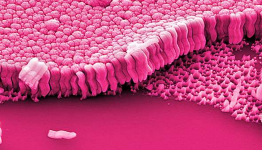 Expanding the reach of metallic glass