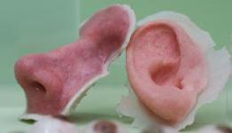 Xanofi & Izumi Release Survey Results from Bioprinting Researchers Using 3D Printers