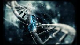 Nanotech drug holds promise for treating Parkinson’s