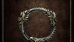 Elder Scrolls Online and the turbulent topic of text chat on console