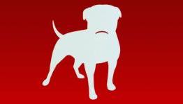 Zynga Laying Off 18% of Workforce, Scaling Back on Games