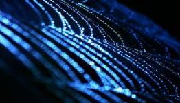 Graphene allows spiders to spin webs of unprecedented strength