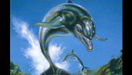 The Ketamine Secrets of Sega’s ‘Ecco the Dolphin’