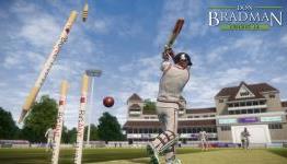In Case You Missed It – Don Bradman Cricket 14