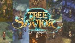Tree of Savior – English server officially approved on Steam platform