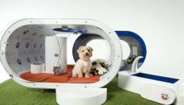How Future Dog Technology Will Affect Pet Parents