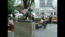 Shibuya, Hachiko and the Scramble Crossing – TRAVELOGUE [SnapThirty]