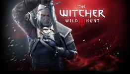 The Witcher 3 Wild Hunt Walkthrough Strategy Guide