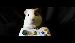 The new wave: 20 indie games to watch