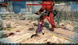 Vindictus: Fiona Overhaul