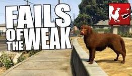 Fails of the Weak #244