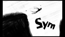 Sym Review | Gamer Attitude