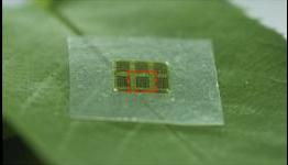 Wooden semiconductors could help to recycle electronic products