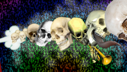 XSEED Teasing Something Bug Poison and Skull Related, Possibly Corpse Party