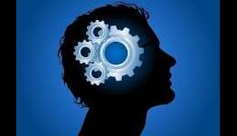 Mindset : Destiny