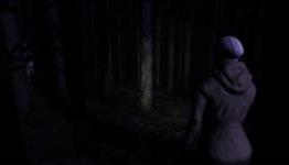Video Preview: Through The Woods – Pixel Related