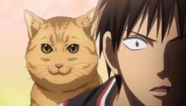 Kuroko’s Basketball Episode 21 – Animenewsnetwork