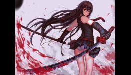 6 Anime Like Akame Ga Kill!