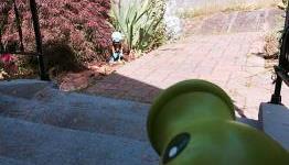 Plants vs Zombies Fans Should “Be Ready for Monday,” Says PopCap