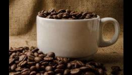 Researchers find possible molecular explanation for caffeine reducing mood disorders