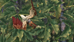 WoW Wednesday: What’s Really Wrong With World of Warcraft