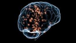 Scientists observe altruism and selfishness in brain activity