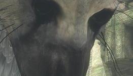 The Last Guardian development ‘going very well,’ no plans for visual overhaul