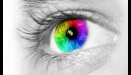 How do we remember colors? Categories influence color memory, says new research