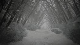 Kholat: Reading Letters is Boring