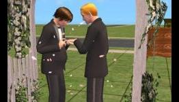 7 Video Games That Had Gay Marriage Before it was Cool