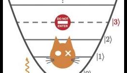 Training Schrodinger’s cat: Controlling the quantum properties of light