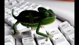 Smedley Calls Out Convicted Lizard Squad Teen Over Twitter