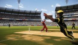 Big Ant Hints on Don Bradman Cricket sequel
