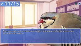 Hatoful Boyfriend Hatches on PS4, PS Vita July 21st with New Content