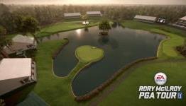 Rory McIlroy’s PGA Tour Review {Critically Sane}