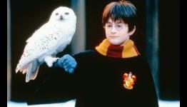 Chris Columbus Wants To Direct Another Harry Potter Movie