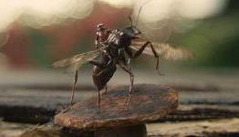 Ant-Man Ending: What Was Originally Going To Happen
