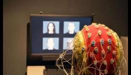 Neural efficiency hypothesis confirmed