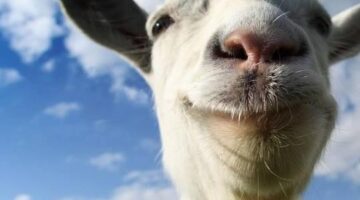 A Lamppost and a Goat: The Satire of the Simulation Game