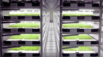 World’s first robot farm to open in 2017