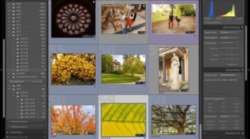 Adobe apologizes for botched Lightroom update, issues fix