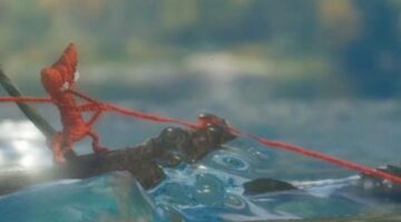 Unravel’s Martin Sahlin: Don’t expect the game to be super-sweet all the time
